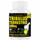 GOA NUTRITIONS Tribulus Terrestris For Men 60 Tablets