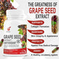 GNL Grape Seed Extract-Standardized to 95% Polyphenols, 800 mg per serving, Phytonutrient Antioxidant Support -60 Capsule - Image #5